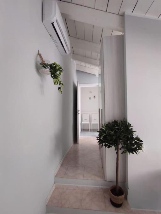 Free Parking Tiny House Wifi Netflix 15 Minuti Dal Duomo Lägenhet Milano Exteriör bild